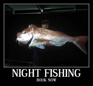 night fishing gold coast