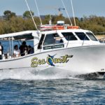 Gold coast fishing charters