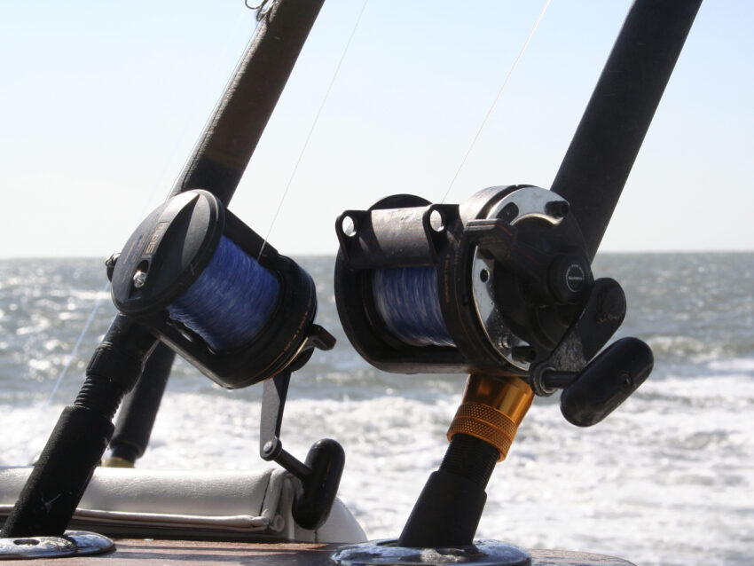 Tweed Heads Fishing Charters Deep Sea Fishing Reef and Game