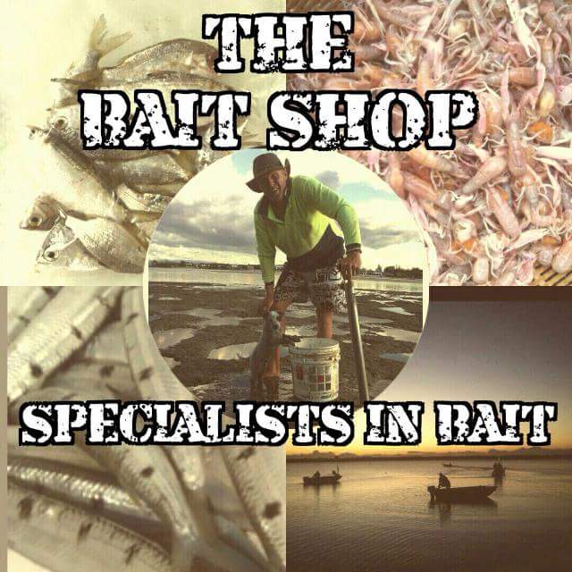 The bait shop Gold coast