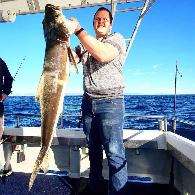 Gold coast cobia caught on a live bait