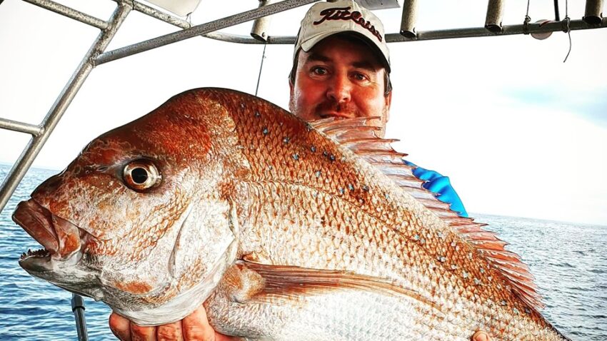 Winter Snapper Gold coast