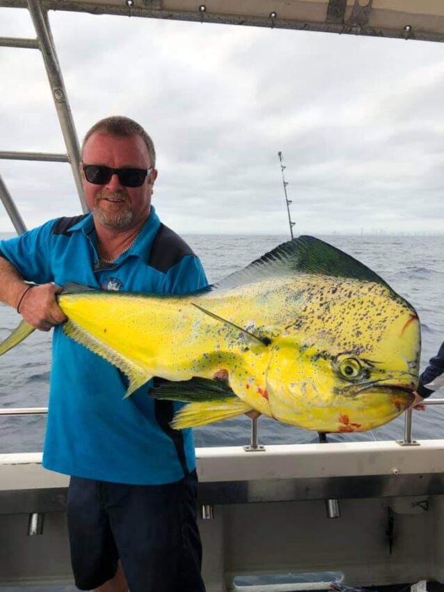 Mahi Mahi Fishing Charters Gold Coast Gold Coast Fishing Expert