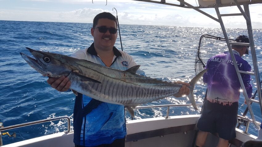 Gold coast mackerel fishing charters