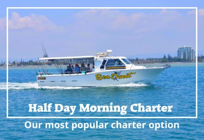 morning - Gold Coast Fishing Charters
