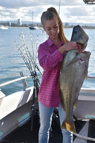 Live bait fishing gold coast