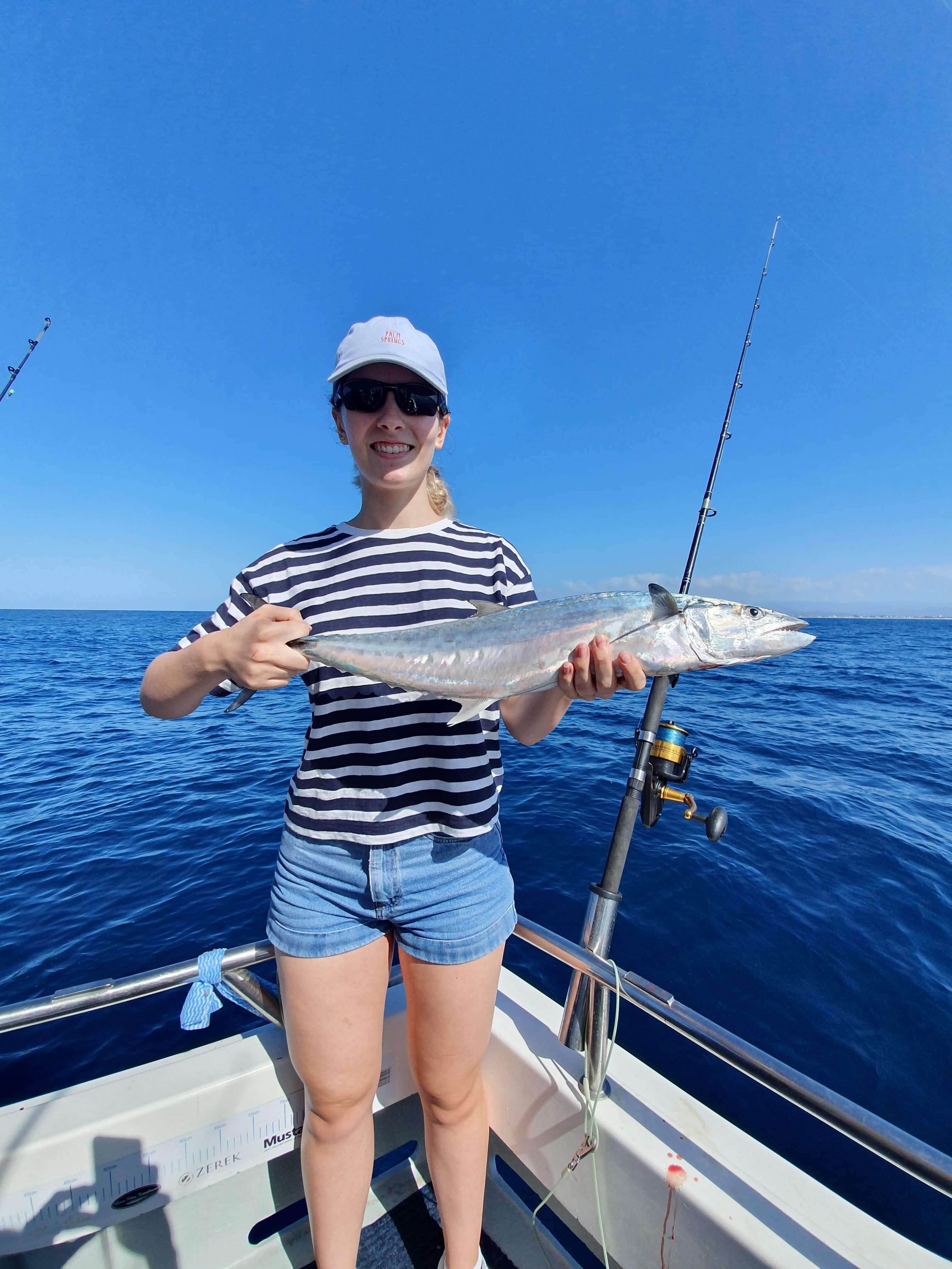 Catch mackerel - How to guide